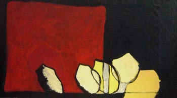110x200 tela